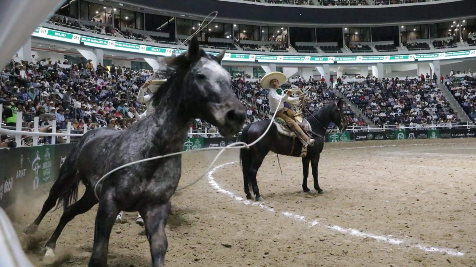 charros (9)